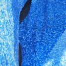 LinerWorld - holes popping up too - Photo 3 - comment #1744132