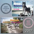 Wix - Alaskan malamute breeder vicky deming has unethical behavior and does not care about her puppies! - Photo 3 - comment #1748080