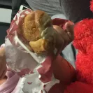 Red Rooster Foods - orders from general menu - Photo 1 - comment #2078336