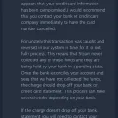 Valve - credit card fraud - Photo 1 - comment #1955666