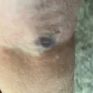 LabCorp - Rude - Photo 1 - comment #2564145