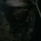 Holiday Builders - mold infested home because of shoddy building - Photo 1 - comment #1834925