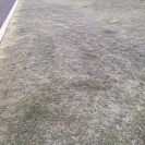 Re/Max - Paid for landscaping such a shame, got scammed! Got scammed on sale purchase of the home too from gina sullivan - Photo 10 - update #1771432