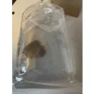 Somethingsphishy.com - Don't ever buy from them - Photo 1 - comment #2279382