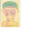 Art Futures Group - overpriced chinese contemporary art buy / lease scam - Photo 1 - update #2136077