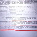 Paltalk - Harasses / scammer / liar / mentally unstable - Photo 3 - comment #1782150