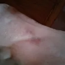 Bob Evans - visit/service/food - Photo 1 - comment #1971714