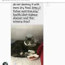 For The Love of Alex - Find the co - Photo 2 - comment #1784274
