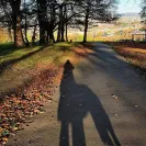 Facebook - lesley jackson admin of pap and blogger of a lot of dog#### on cymraes corner! - Photo 2 - comment #2244669