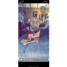 Ddbordeaux - Dog breeder - Photo 2 - comment #2221546