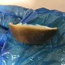 McDonald's - making food without gloves, spiders & flies in the bathroom, roach on table. - Photo 1 - update #1787855