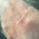 Costco - kirkland chicken breasts (frozen and individually wrapped) - Photo 1 - comment #1815841