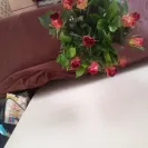 NetFlorist - non-delivery of product despite being charged! - Photo 2 - comment #1938889