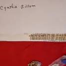 Bluegreen Vacations - this is a scam where they made the rules and changed the rules after a completed purchase - Photo 1 - comment #2540862