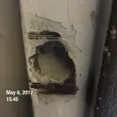 Lobos Management - disgusting management - Photo 1 - comment #1800221