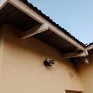 MultiChoice Africa / DSTV - Ignored my calls about an unauthorized charge - Photo 4 - comment #2381955