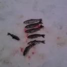 Coquihalla Lakes Lodge - inappropriate behavior - Photo 13 - comment #1827341