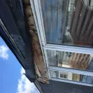 RHP Properties - purchasing mobile homes (2) - Photo 1 - comment #2222568