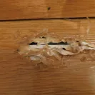 Glade - frebreeze clip on air freshener - Photo 2 - comment #1999328