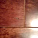 National Floors Direct - Terrible service and product - Photo 3 - comment #1856195