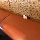 Panera Bread - no bread - Photo 2 - comment #1833176