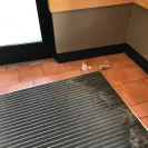 Panera Bread - no bread - Photo 7 - comment #1833176