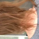 Hair Cuttery - horrible experience - Photo 1 - comment #1379564