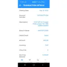 Google - unauthorized debit card charges from google - Photo 1 - comment #2251228