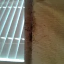 Rent-A-Center - bed bugs - Photo 2 - update #1884606