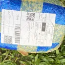 Singapore Post (SingPost) - loss of my courier from speed post - Photo 10 - comment #2567037