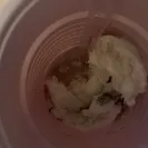 Breyers - Terrible experience - Photo 1 - comment #2164024