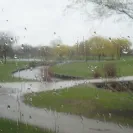 GolfNow - Zero customer service!!! - Photo 1 - comment #2030255