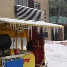 Willy Dog - Mechanical faults! - Photo 1 - comment #1720283