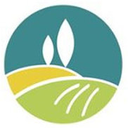 American Web Loan Logo