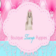 Boutique Teacup Puppies Logo
