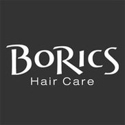 BoRics Hair Care Logo