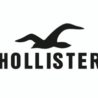 hollisterster