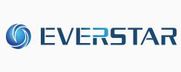 Everstar Electronics Logo