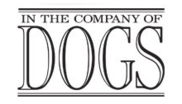 ww2 online dog company ww2 online dog company