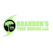 Brandon's Tree Service Logo