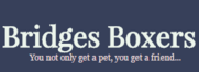 Bridges Boxers Logo