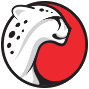 Playtika Logo