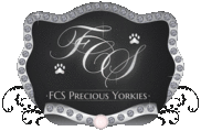 FCS Precious Yorkies Logo