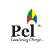 Pel Soft Labs Logo