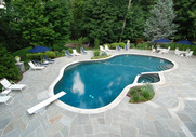 Down to Earth Gunite Logo