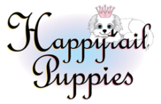 Happytail Puppies Logo